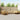 Set de canapele de exterior 9 buc. Natural și Bej