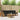 Set de canapele de exterior 5 buc. Natural și Negru