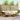 Set de canapele de exterior 7 buc. Natural și Crem