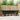 Set de canapele de exterior 5 buc. Natural și Negru