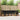 Set de canapele de exterior 5 buc. Natural și Negru