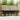 Set de canapele de exterior 5 buc. Natural și Negru