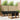 Set de canapele de exterior 8 buc. Natural și Negru
