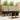 Set de canapele de exterior 8 buc. Natural și Negru