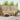 Set de canapele de exterior 6 buc. Natural și Bej