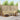 Set de canapele de exterior 6 buc. Natural și Bej