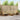 Set de canapele de exterior 8 buc. Natural și Bej