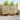 Set de canapele de exterior 8 buc. Natural și Bej