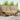 Set de canapele de exterior 6 buc. Natural și Bej