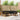 Set de canapele de exterior 6 buc. Natural și Negru