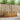 Seturi de canapele 3 buc. natural Lemn Solid de Acacia