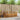 Seturi de canapele 3 buc. natural Lemn Solid de Acacia