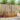 Seturi de canapele 3 buc. natural Lemn Solid de Acacia