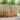 Seturi de canapele 3 buc. natural Lemn Solid de Acacia