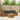 Set de canapele de exterior 5 buc. Natural și Antracit