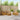 Set de canapele de exterior 6 buc. natural Lemn Solid de Acacia