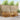 Set de canapele de exterior 7 buc. natural Lemn Solid de Acacia