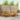 Set de canapele de exterior 7 buc. natural Lemn Solid de Acacia