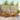 Set de canapele de exterior 7 buc. natural Lemn Solid de Acacia