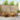 Set de canapele de exterior 7 buc. natural Lemn Solid de Acacia