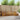 Set de canapele de exterior 5 buc. natural