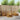 Set de canapele de exterior 6 buc. natural