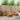 Set de canapele de exterior 6 buc. natural