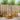 Set de canapele de exterior 5 buc. natural Poliester