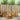 Set de canapele de exterior 5 buc. natural Poliester