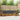 Set de canapele de exterior 5 buc. Natural și Antracit