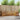 Set de canapele de exterior 5 buc. natural Poliester