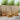 Set de canapele de exterior 6 buc. natural Poliester