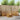 Set de canapele de exterior 6 buc. natural Poliester