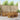 Set de canapele de exterior 7 buc. natural Poliester
