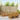 Set de canapele de exterior 8 buc. natural Poliester