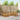 Set de canapele de exterior 6 buc. natural Poliester