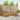 Set de canapele de exterior 6 buc. natural Poliester