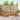 Set de canapele de exterior 6 buc. natural Poliester