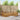 Set de canapele de exterior 6 buc. natural Poliester