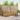 Set de canapele de exterior 6 buc. natural Poliester