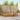 Set de canapele de exterior 7 buc. natural Poliester