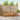 Set de canapele de exterior 7 buc. natural Poliester