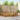 Set de canapele de exterior 7 buc. natural Poliester