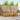 Set de canapele de exterior 7 buc. natural Poliester