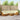 Set de canapele de exterior 8 buc. Natural și Crem