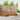 Set de canapele de exterior 6 buc. natural