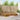 Set de canapele de exterior 6 buc. natural