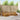 Set de canapele de exterior 6 buc. natural