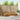 Set de canapele de exterior 6 buc. natural