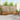 Set de canapele de exterior 8 buc. natural